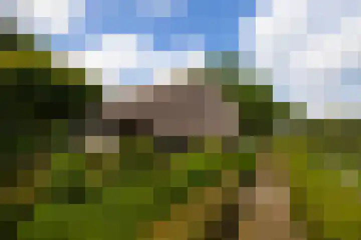 Koeweg 6 't Harde thumbnail 52