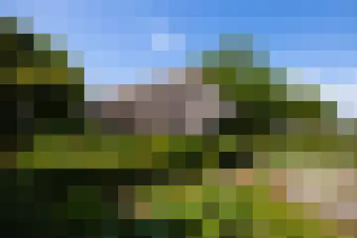 Koeweg 6 't Harde thumbnail 53