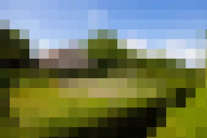 Koeweg 6 't Harde thumbnail 54