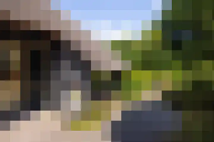 Koeweg 6 't Harde thumbnail 55