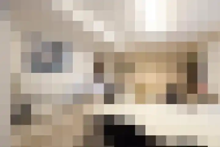 Koeweg 6 't Harde thumbnail 56