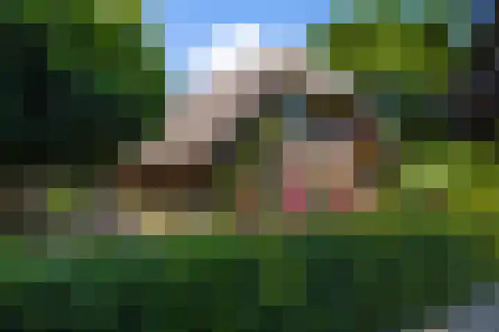 Koeweg 6 't Harde thumbnail 6