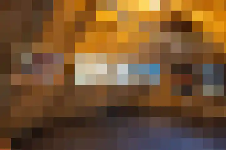 Koeweg 6 't Harde thumbnail 61