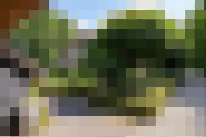 Koeweg 6 't Harde thumbnail 62