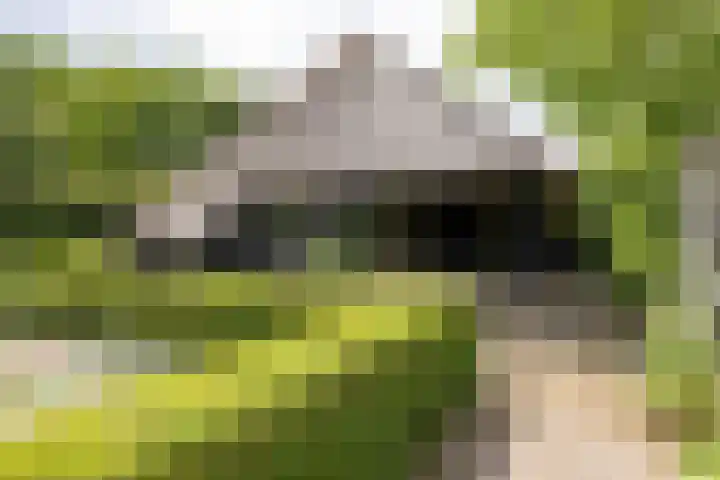 Koeweg 6 't Harde thumbnail 63