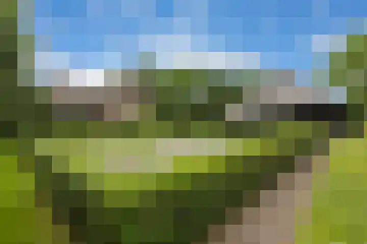 Koeweg 6 't Harde thumbnail 64