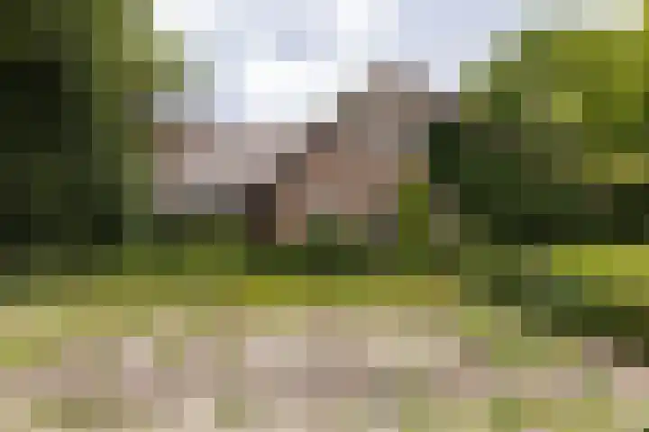 Koeweg 6 't Harde thumbnail 65