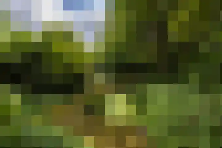 Koeweg 6 't Harde thumbnail 66