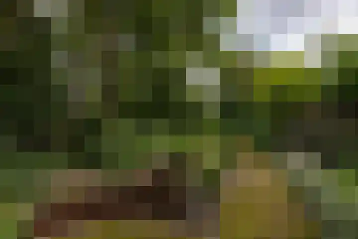 Koeweg 6 't Harde thumbnail 67