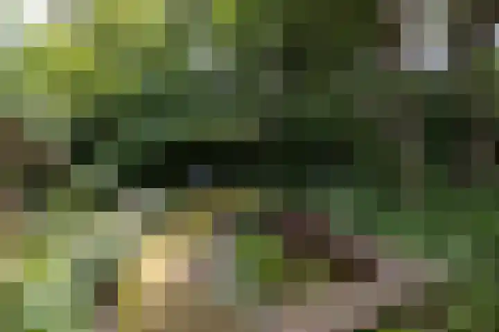 Koeweg 6 't Harde thumbnail 68