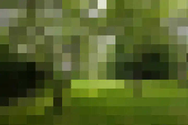 Koeweg 6 't Harde thumbnail 69