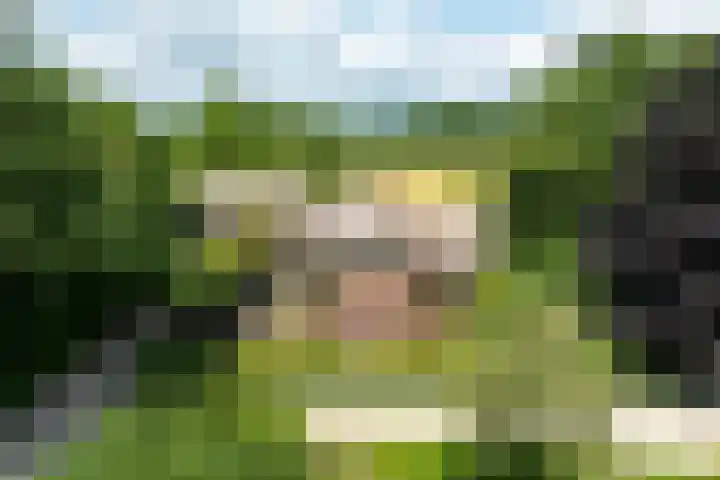 Koeweg 6 't Harde thumbnail 7
