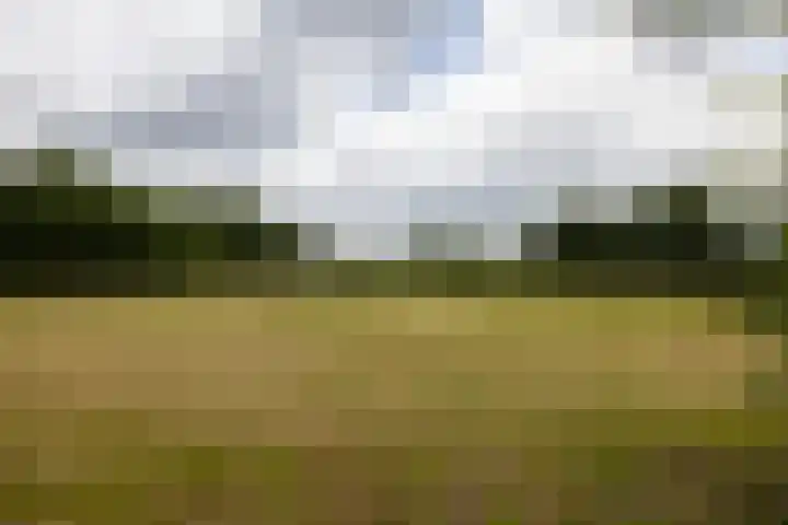 Koeweg 6 't Harde thumbnail 70