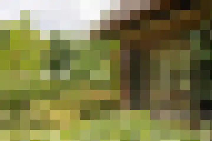 Koeweg 6 't Harde thumbnail 71