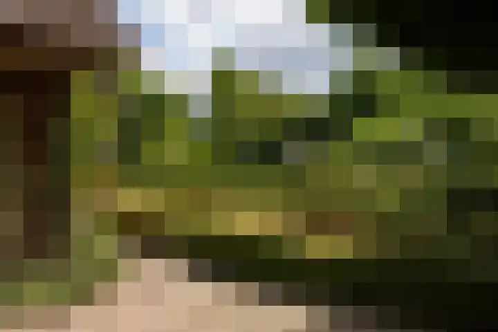 Koeweg 6 't Harde thumbnail 72
