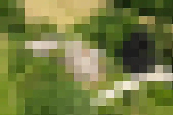 Koeweg 6 't Harde thumbnail 73