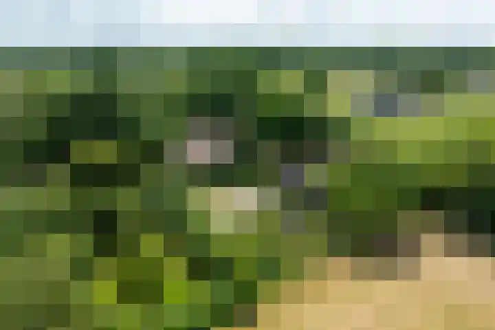 Koeweg 6 't Harde thumbnail 76
