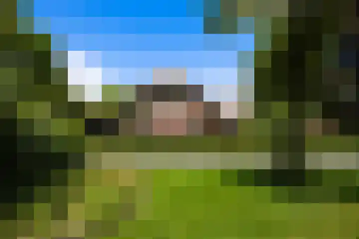 Koeweg 6 't Harde thumbnail 8