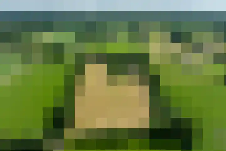 Koeweg 6 't Harde thumbnail 80