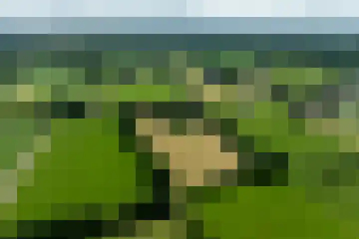Koeweg 6 't Harde thumbnail 81