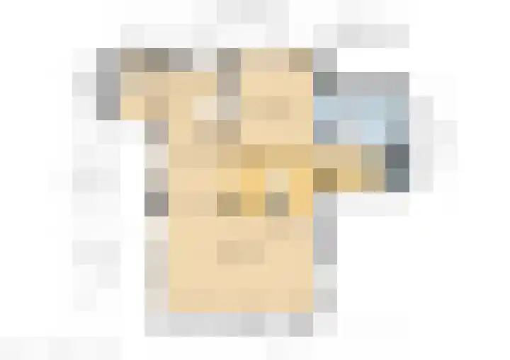 Koeweg 6 't Harde thumbnail 82
