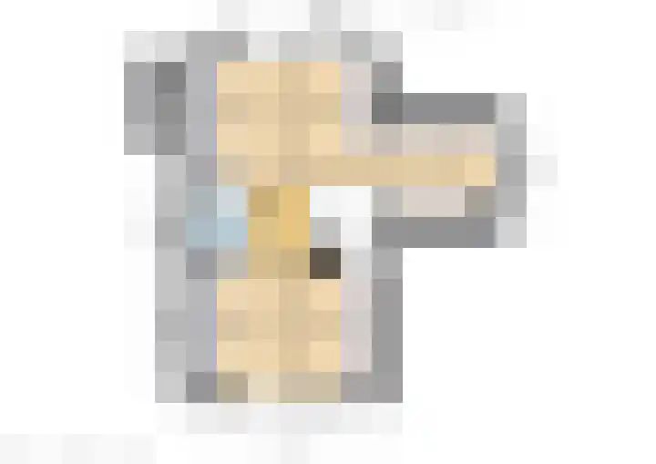Koeweg 6 't Harde thumbnail 83