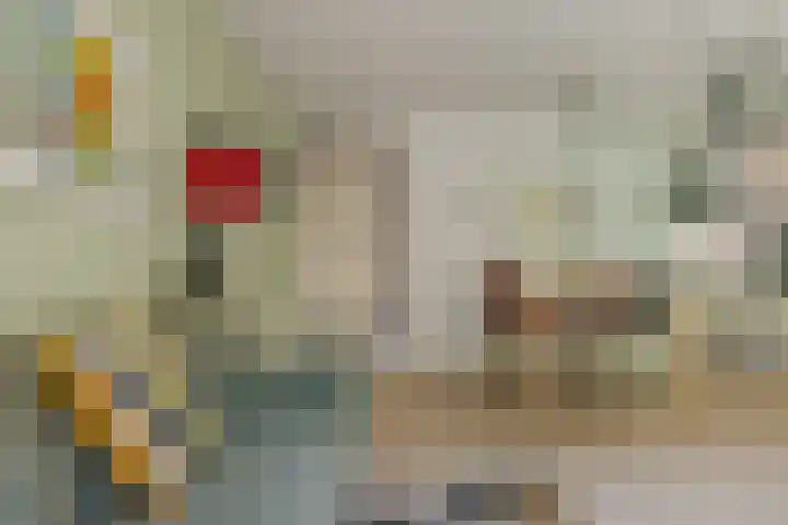 Koewegje 11 Zwolle thumbnail 10