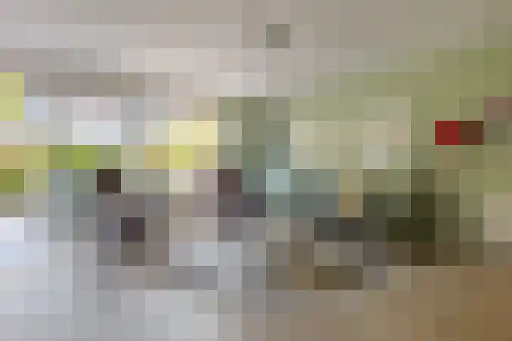 Koewegje 11 Zwolle thumbnail 11