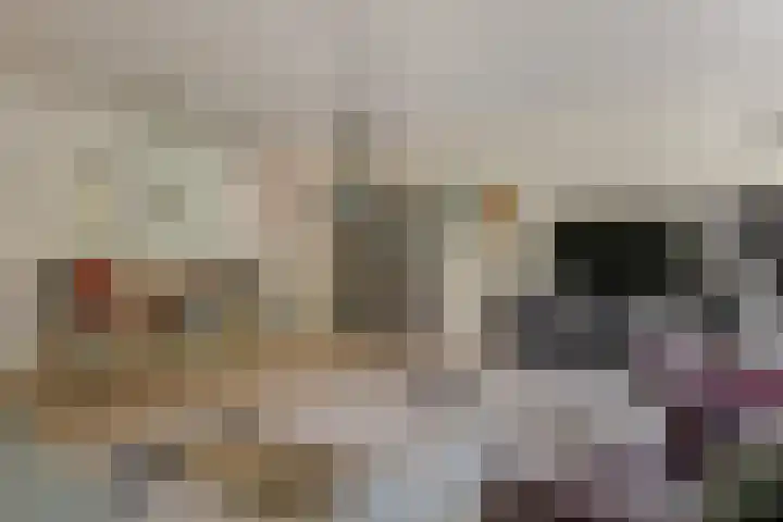 Koewegje 11 Zwolle thumbnail 12