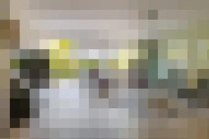 Koewegje 11 Zwolle thumbnail 13