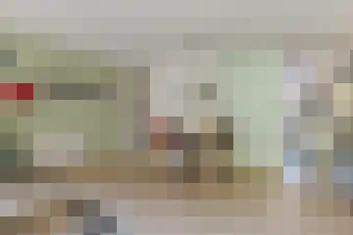 Koewegje 11 Zwolle thumbnail 14