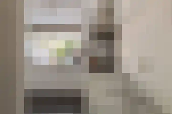 Koewegje 11 Zwolle thumbnail 17