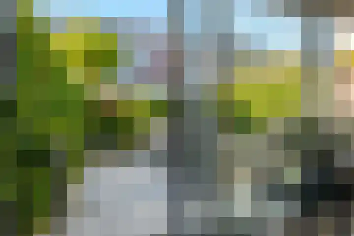 Koewegje 11 Zwolle thumbnail 19