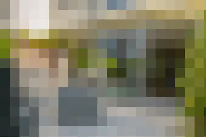 Koewegje 11 Zwolle thumbnail 20