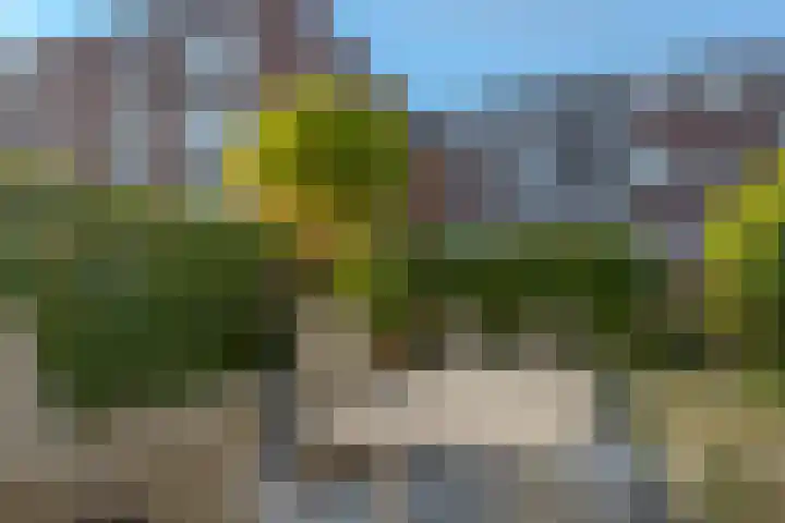 Koewegje 11 Zwolle thumbnail 22