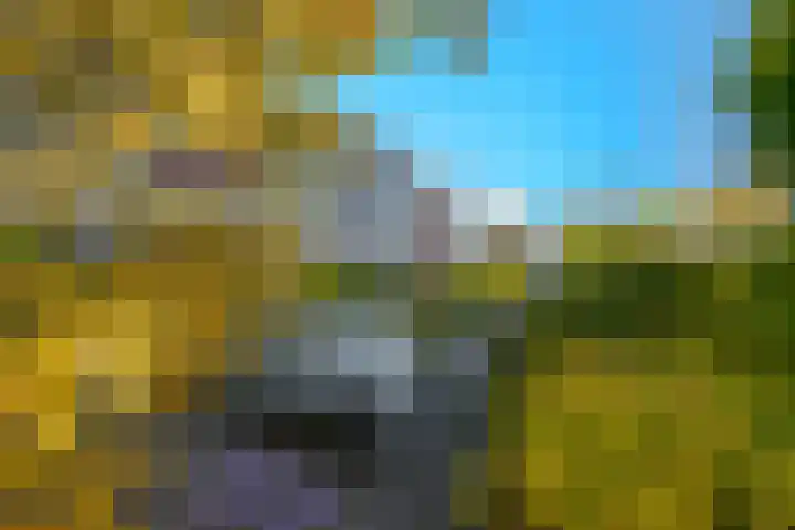Koewegje 11 Zwolle thumbnail 24