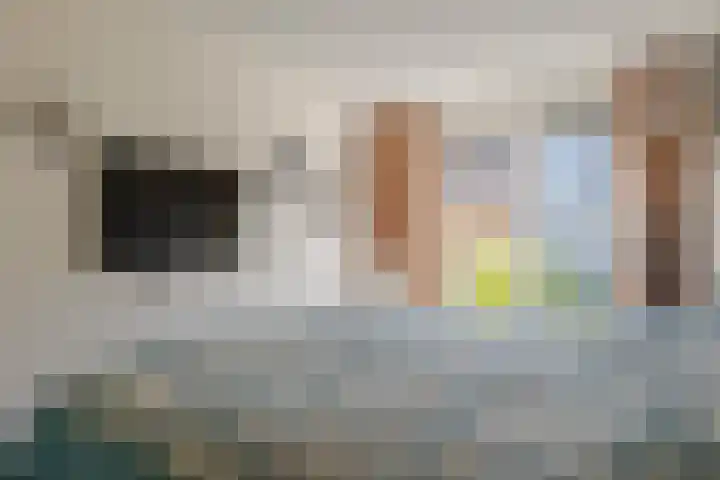 Koewegje 11 Zwolle thumbnail 29
