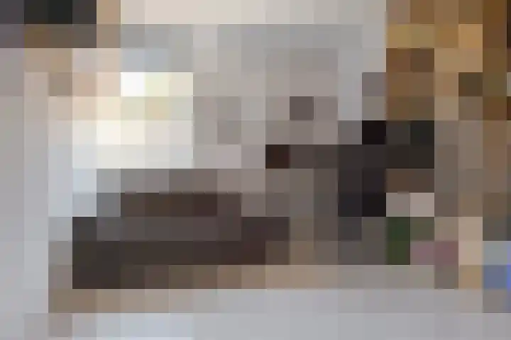 Koewegje 11 Zwolle thumbnail 34
