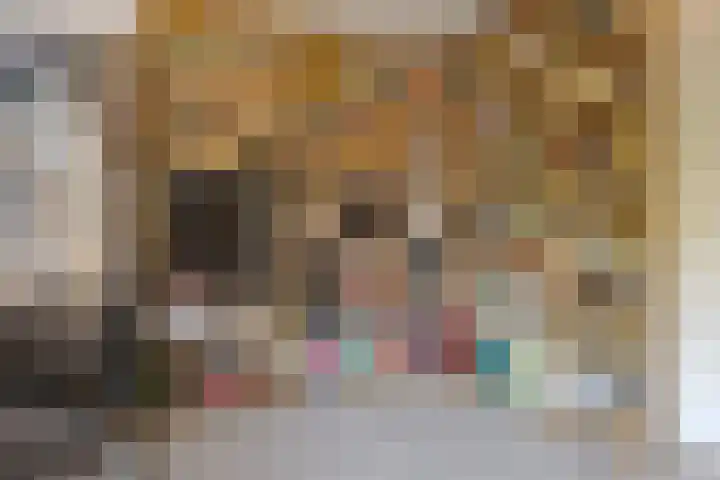 Koewegje 11 Zwolle thumbnail 35