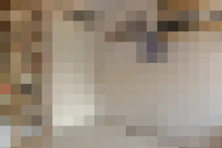 Koewegje 11 Zwolle thumbnail 36