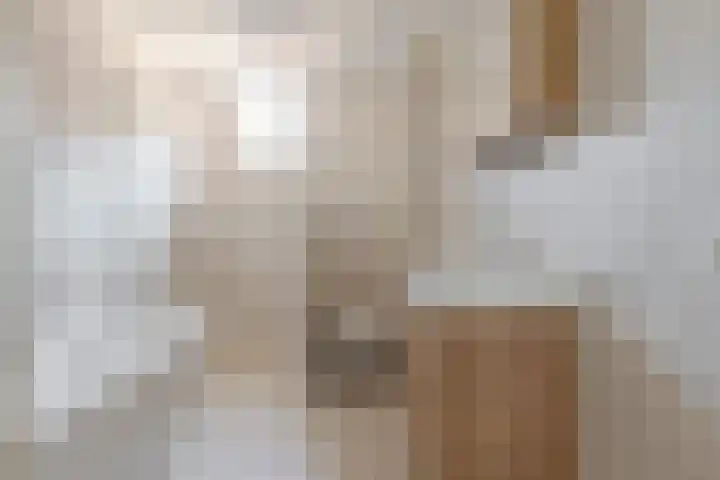 Koewegje 11 Zwolle thumbnail 37