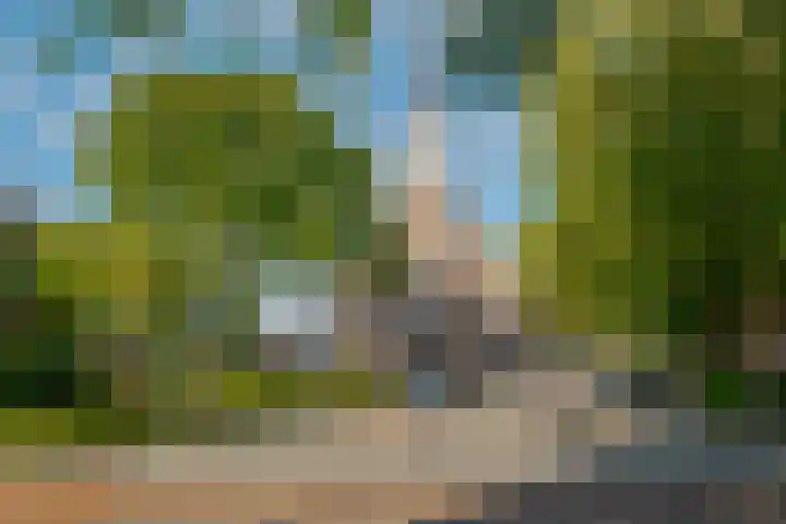 Koewegje 11 Zwolle thumbnail 4