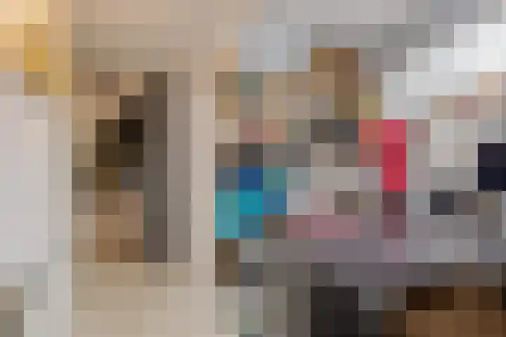 Koewegje 11 Zwolle thumbnail 41