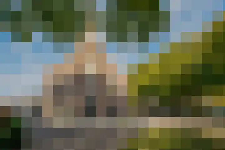 Koewegje 11 Zwolle thumbnail 51