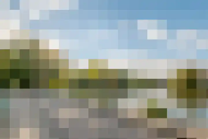 Koewegje 11 Zwolle thumbnail 54