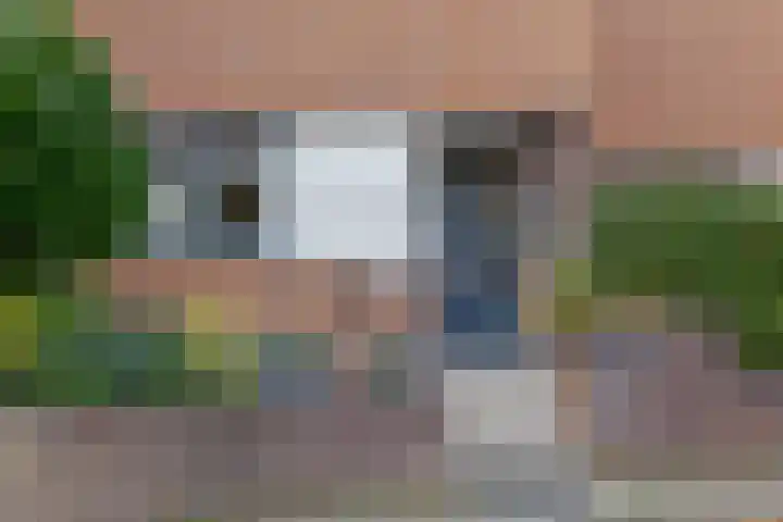 Koewegje 11 Zwolle thumbnail 6
