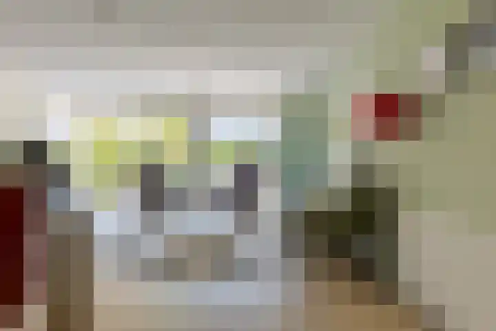 Koewegje 11 Zwolle thumbnail 9