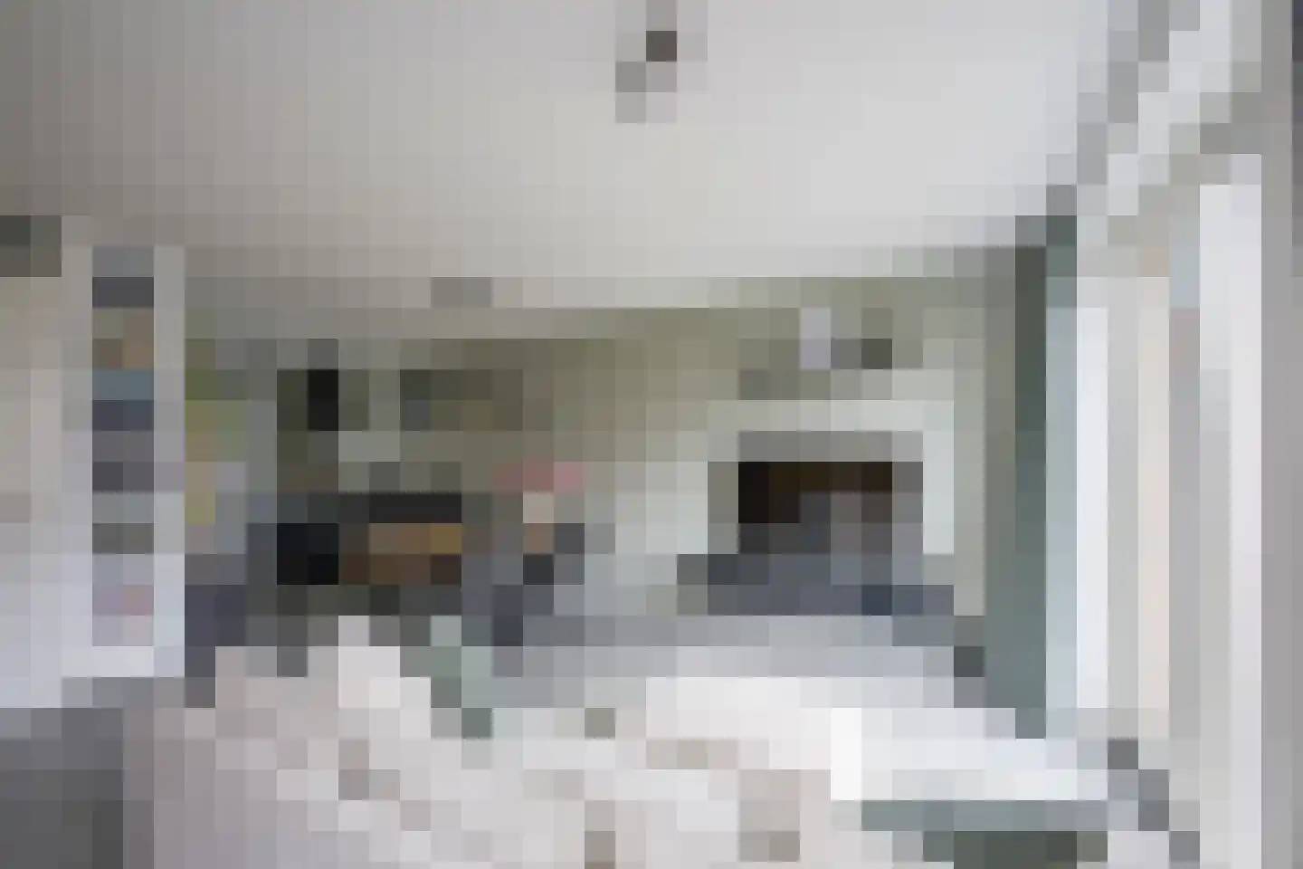 Koewei 13 Udenhout thumbnail 10