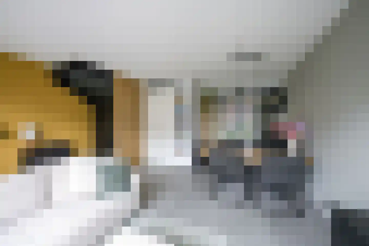 Koewei 13 Udenhout thumbnail 13