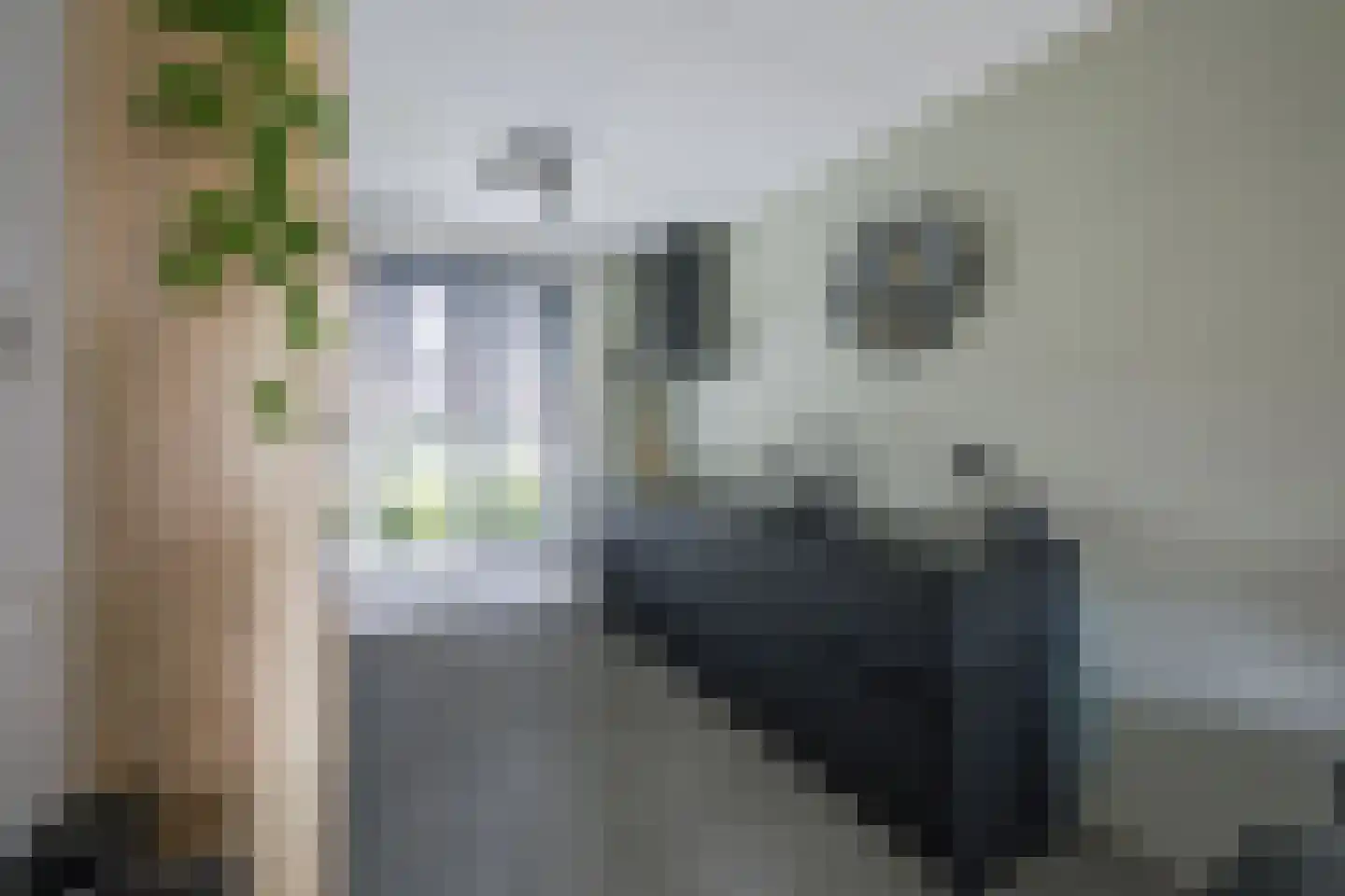 Koewei 13 Udenhout thumbnail 15